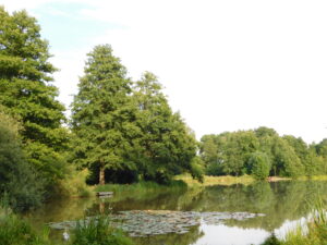 Müden Heidesee