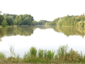 Müden Heidesee