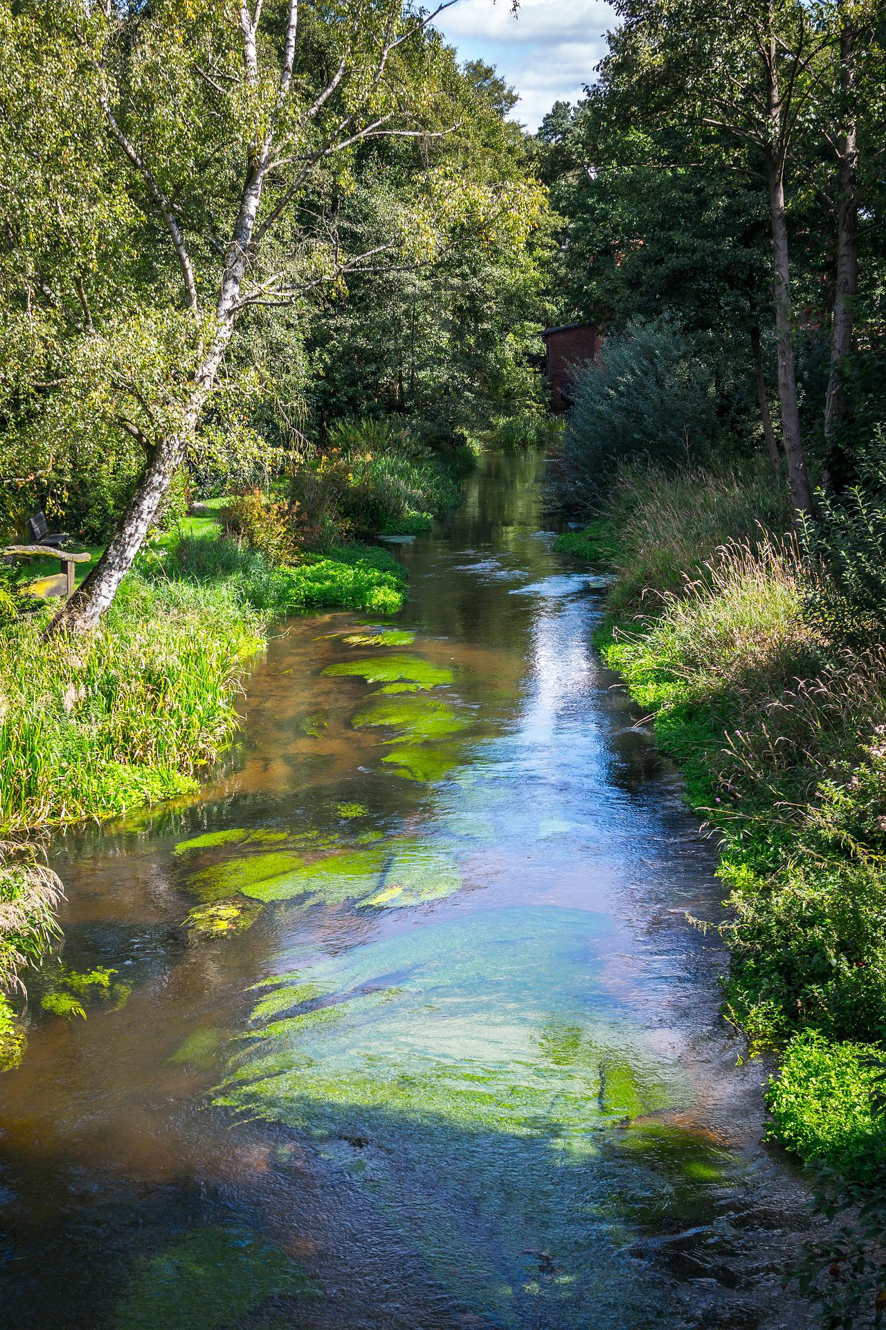 Der Fluss Örtze